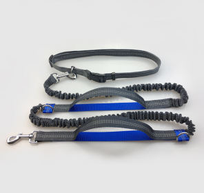 Multi-function running reflective pull dog leash double elastic dog leash traction (Option: Royal blue)