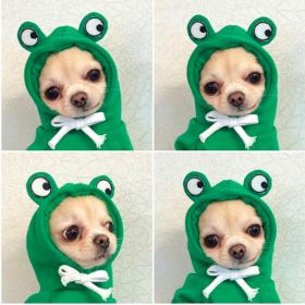 Dog Autumn And Winter Clothing Small And Medium Dog Love Two Legged Cat Cute Pet Clothing (Option: 5 Style-XL)