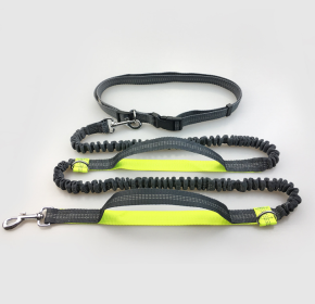 Multi-function running reflective pull dog leash double elastic dog leash traction (Option: Fluorescent green)