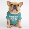 Round collar T-shirt dog clothing