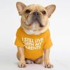 Round collar T-shirt dog clothing